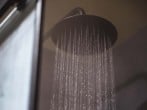 Shower Shower